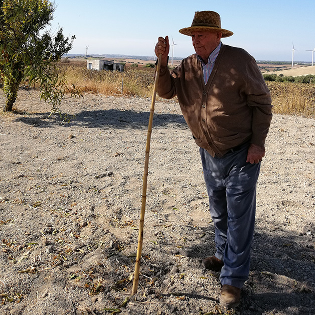 En el campo